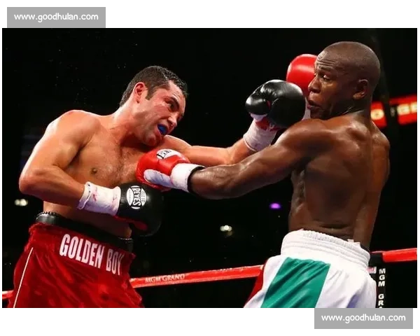 阿瓦雷兹对决大库托全程回顾重拳与技巧巅峰碰撞解析经典之战视频