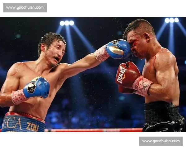 邹市明对决甄子丹拳台与银幕力量巅峰碰撞背后的真实较量传奇